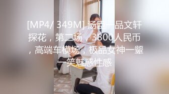 [MP4/ 349M] 汤臣一品文轩探花，第二场，3800人民币，高端车模场，极品女神一颦一笑魅惑性感