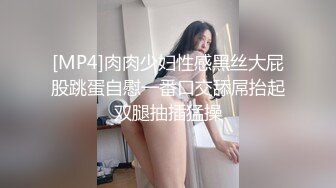 [MP4]肉肉少妇性感黑丝大屁股跳蛋自慰一番口交舔屌抬起双腿抽插猛操